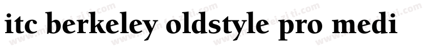 itc berkeley oldstyle pro medium字体转换